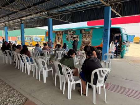 Com ampliação de público-alvo, Prefeitura de São João Batista abre novo edital para castração gratuita de cães e gatos