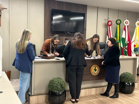 CMDCA homologa resultado da Eleição Suplementar para suplentes do Conselho Tutelar